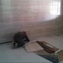 Foto 1:  Empreiteira Constroeng Construções e Reformas